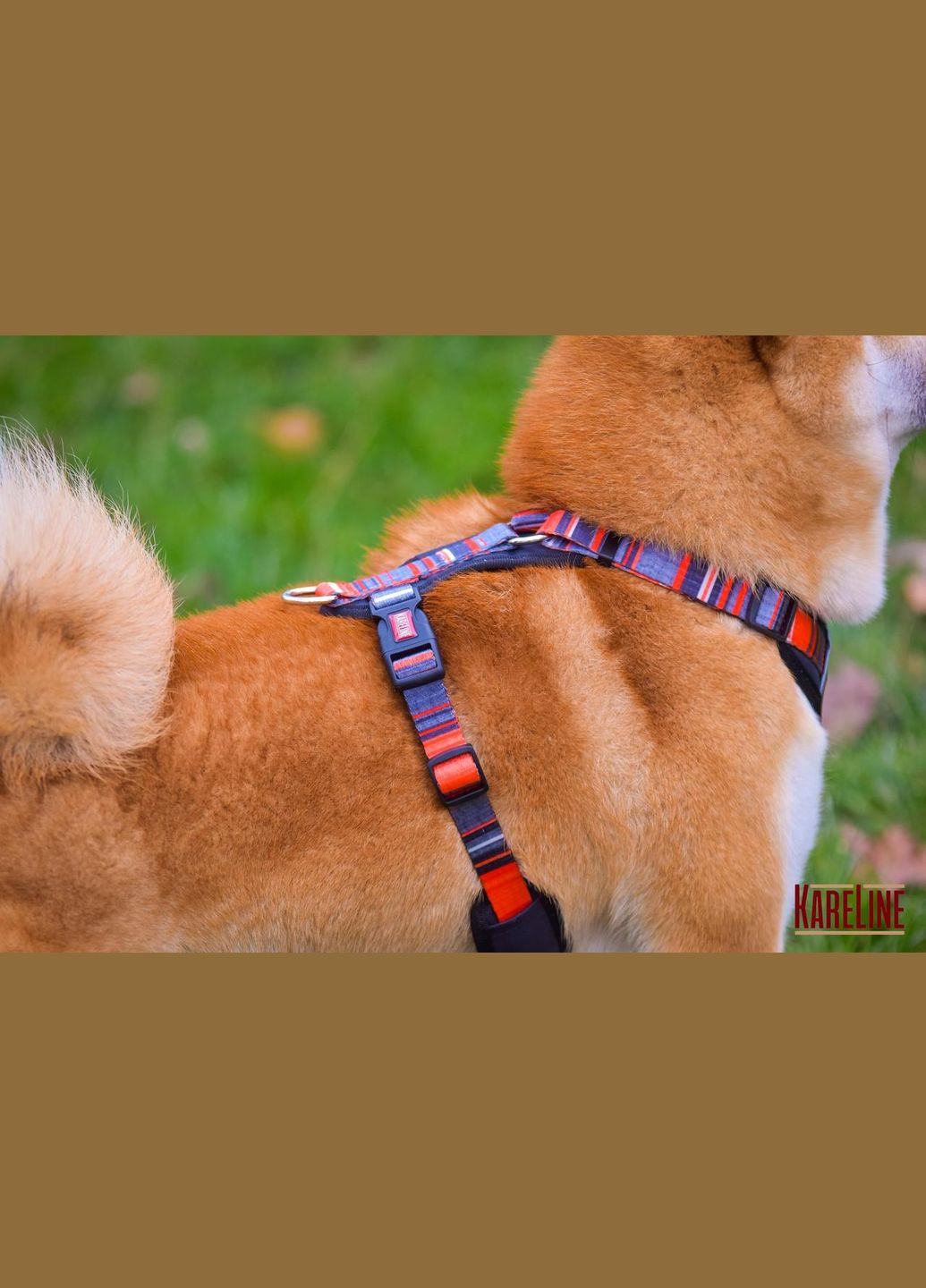 Шлей из нейлона с узором "LINE", логотипом и пластиковой пряжкой 20 мм А:420-520 мм, В:500-630 мм Kareline (339075561)