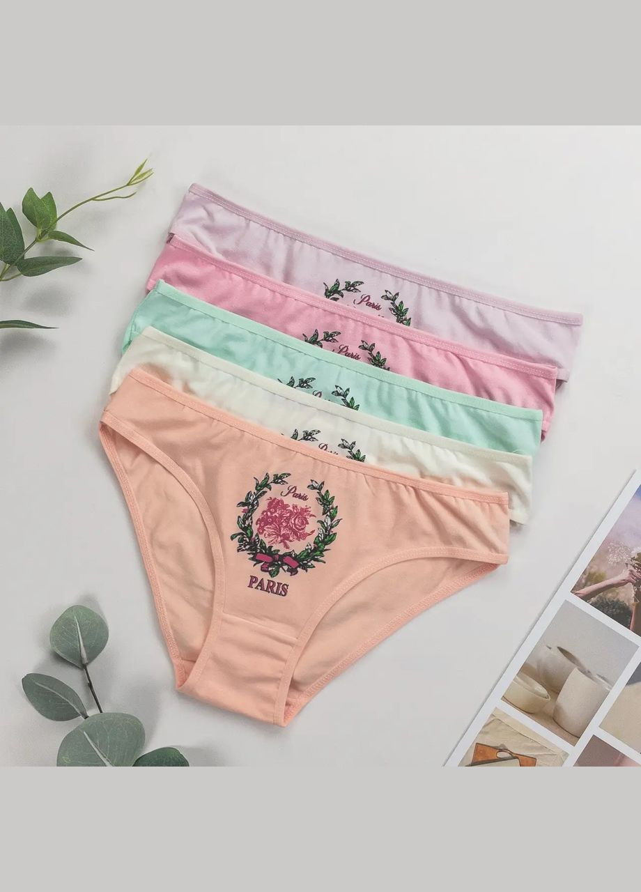Трусики-сліп жіночі, пастельний мікс 5 шт Nicoletta (340462224)