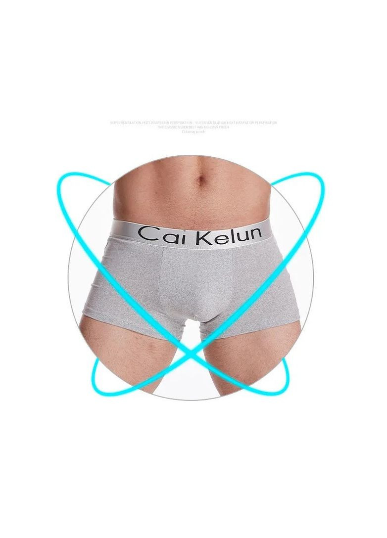 Мужские трусы боксеры Cai Kelun XXL Серый No Brand (368891930)