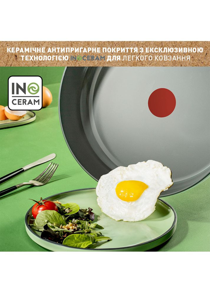 Набор сковородок Renew Ingenio 24см+28см+ручка (L2609502) Tefal (306581008)