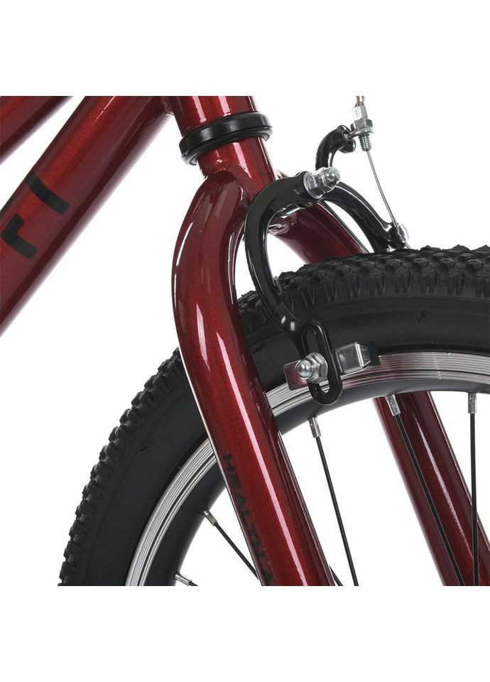 Велосипед детский MB 2007-1, 20 дюймов, Profi (370977074)