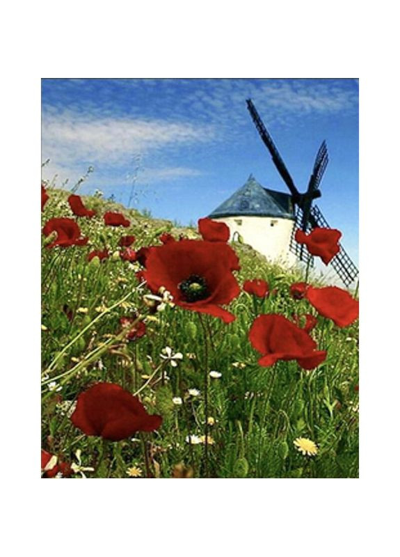 Набір для творчості Алмазна картина Млин HEG86061 shop (4823113866877) Strateg (333931312)