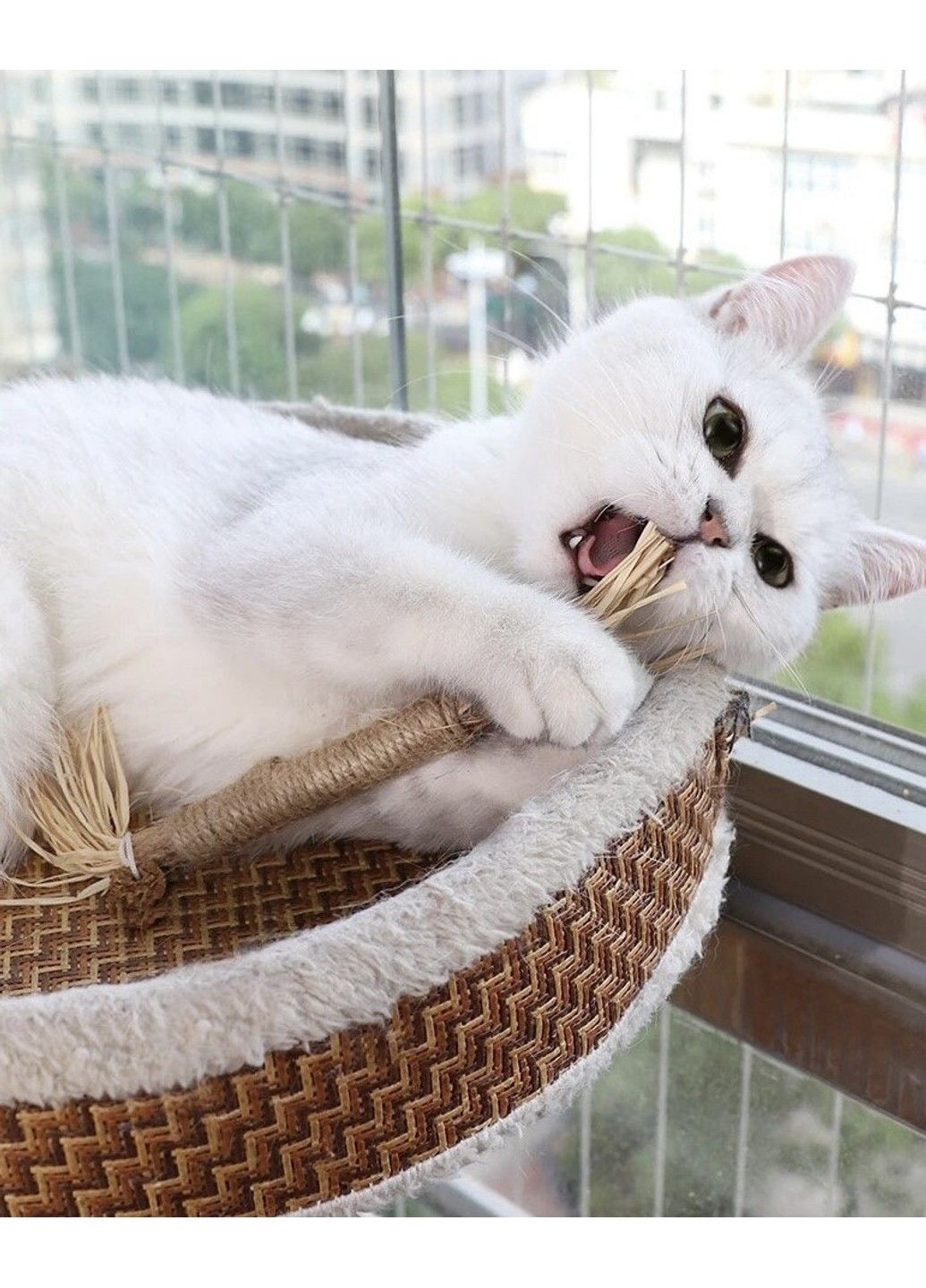 Іграшка з китицями для кішок "МАТАТАБІ" паличка 15 см Xtep (319664474)