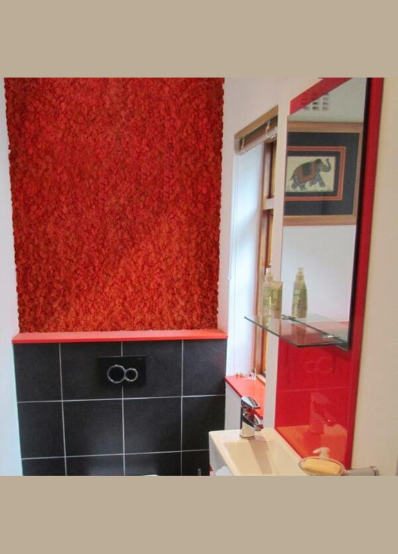 Очищенный стабилизированный мох ягель Красный 3 кг Nordic moss (278652078)