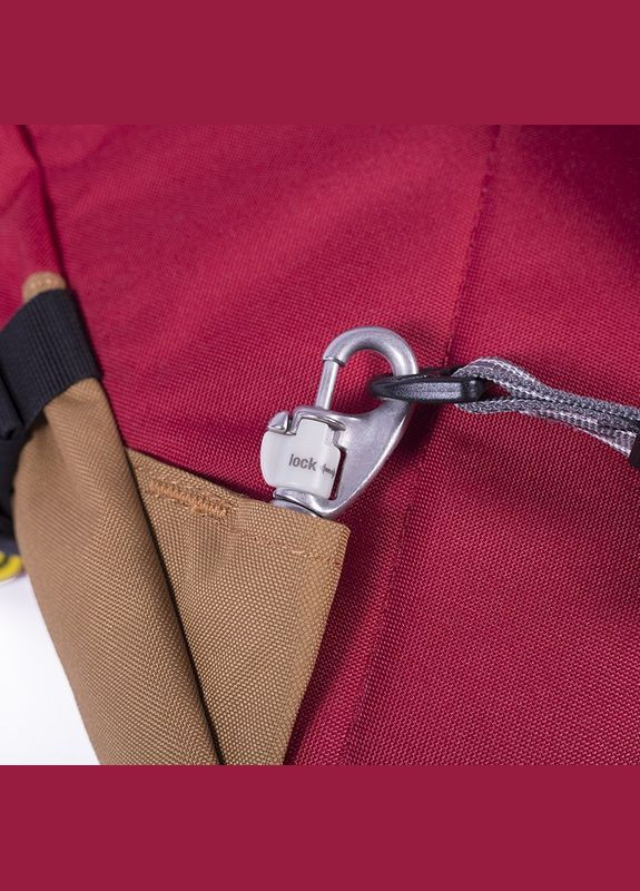 Рюкзак Pacsafe (335406204)