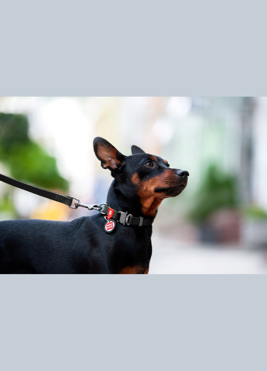 Ошейник для собак водостойкий Waterproof c QR-паспортом, металлическая пряжка-фастекс, Ш 25 мм, Дл 38-58 см черный WAUDOG (332878694)