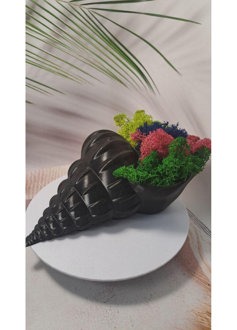 Кашпо "Мушля" з стабілізованим мохом – 3D декор із природним настроєм No Brand (372186011)