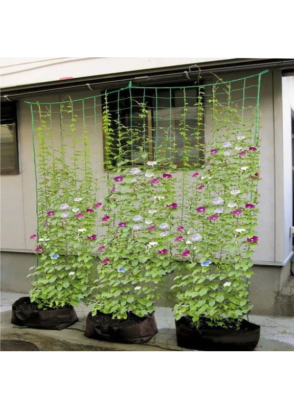 Сетка для Вьющихся Растений 🔥 Полиэтиленовая Плетеная Нить 🔥 Высокая Плотность ❤️ Размер 1,8х3,6 м ❤️ Comshop (364316046)