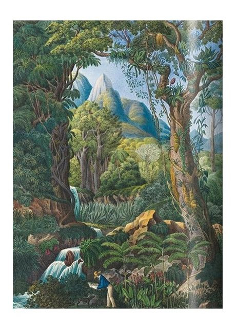 Книга Martius. The Book of Palms (9783836566148) Taschen (364654493)