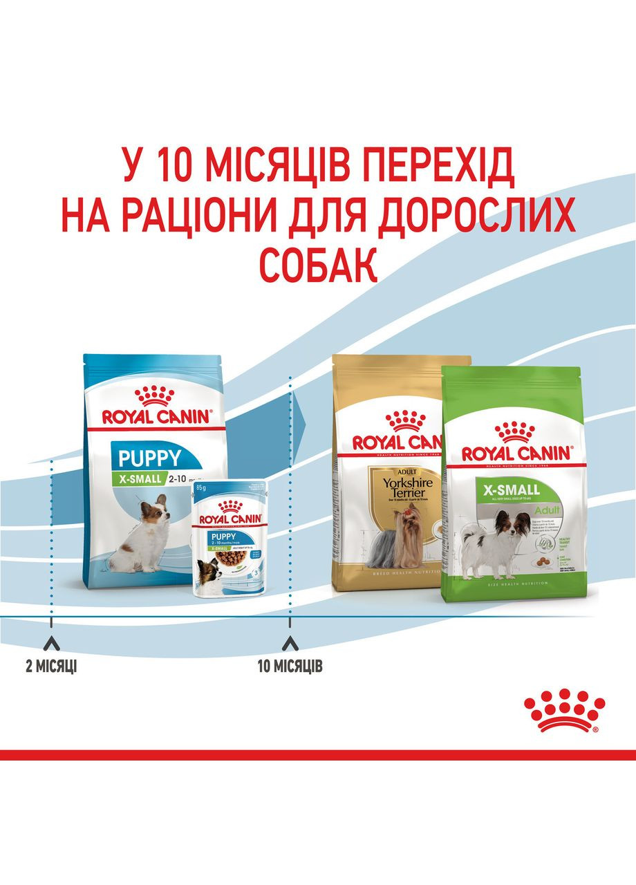 Корм для цуценят мініатюрних порід XSMALL PUPPY 0.5 кг Royal Canin (347149150)