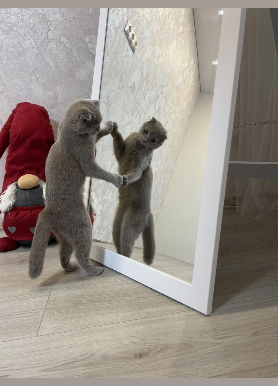 Дзеркало ростове в прямій рамі білого кольору на ніжці 160 х 60 см No Brand (333823406)