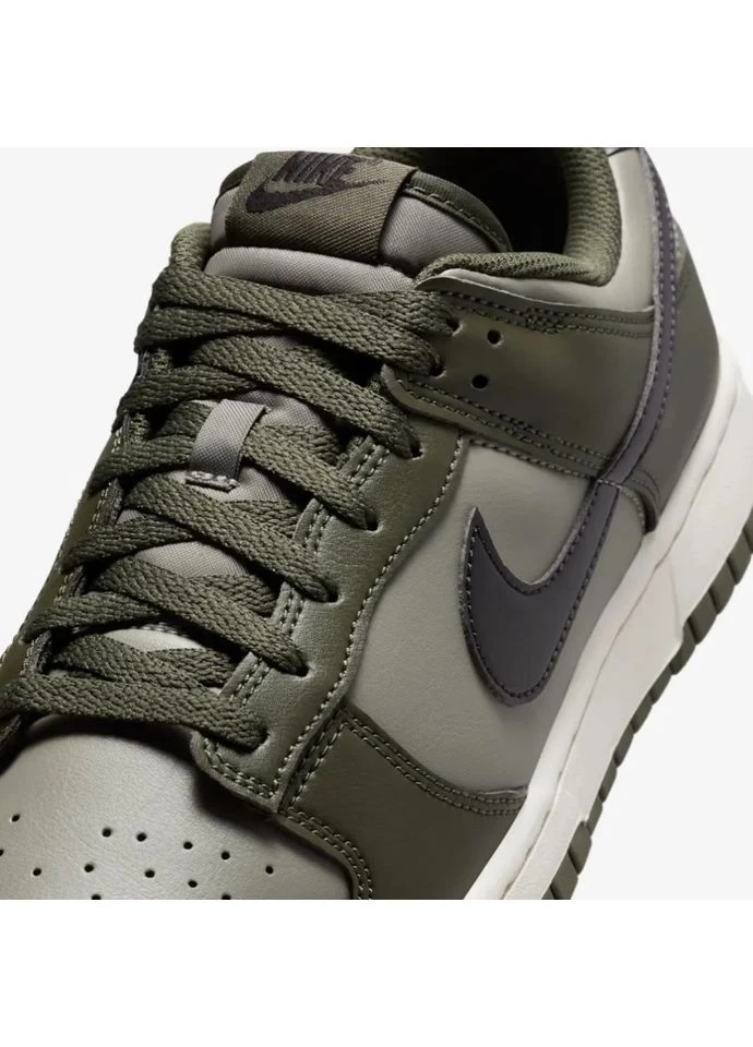 Комбіновані кросівки dunk low retro hf5441-300 всесезон Nike