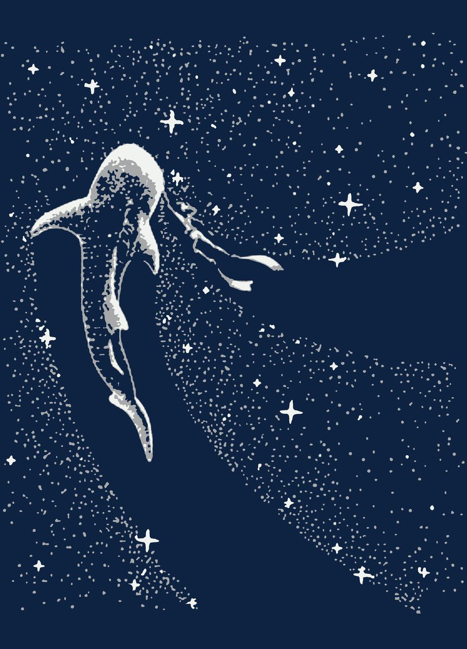 Картина за номерами з металевими фарбами Подорож між зірок 40x50 см (RB-0869) Riviera Blanca (303135507)