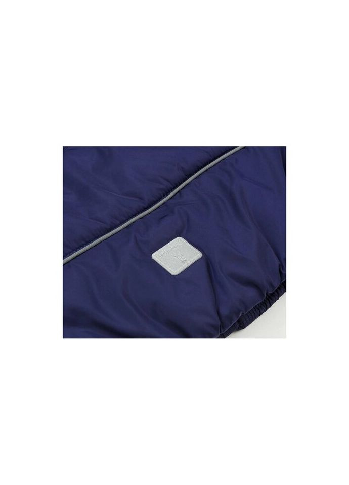 Фіолетова демісезонна куртка з капюшоном (sicmy-g306-128b-blue) Snowimage