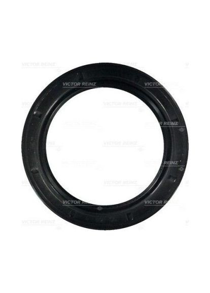 Уплотняющее кольцо Victor Reinz (366180384)