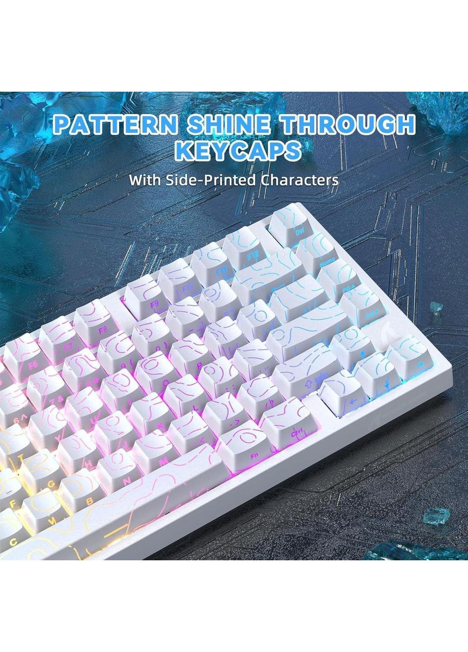 Ігрова Клавіатура R82 HE Rapid Trigger White contour Магнітні світчі. Дротова 8000Hz/s. RGB Підсвічування, 80 keys, ATTACK SHARK (370202791)