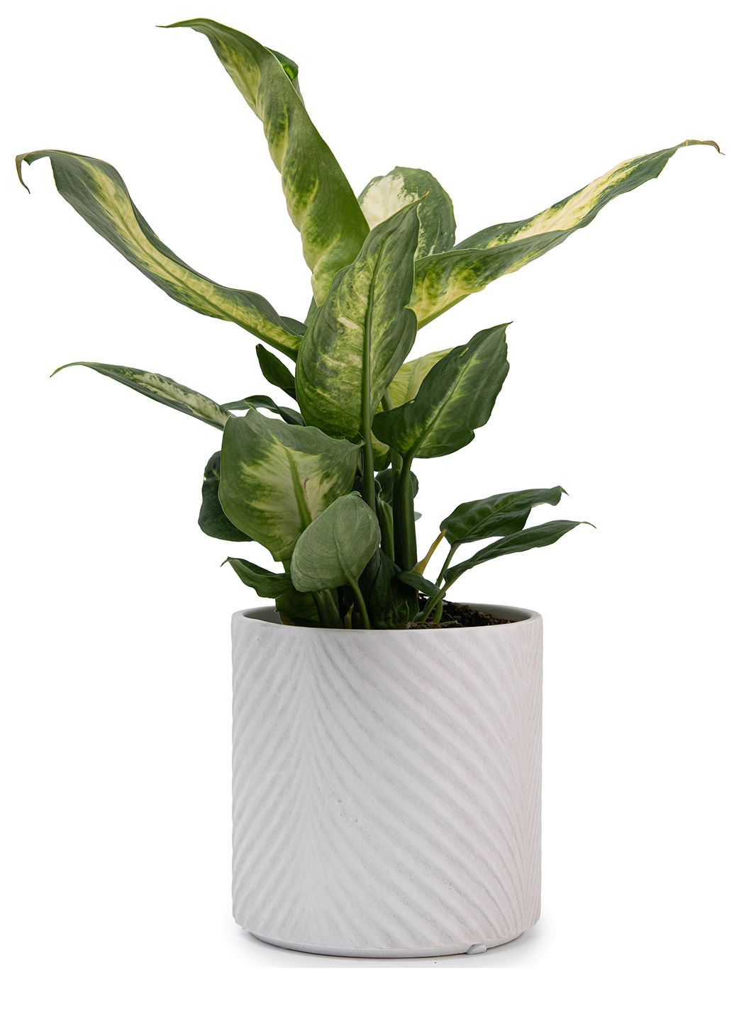 Кашпо для цветов elemi Листок 13 см керамическое 1,3 л белое Мамин Посуд (336213680)