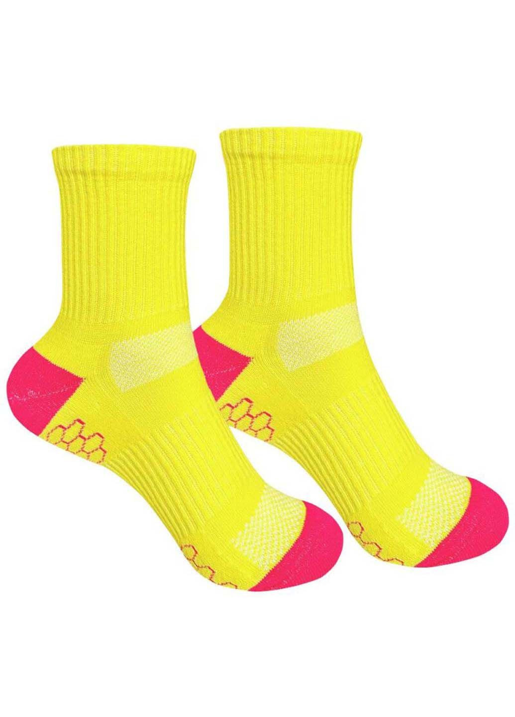 Комбинированные носки женские 1and1 (348467069)