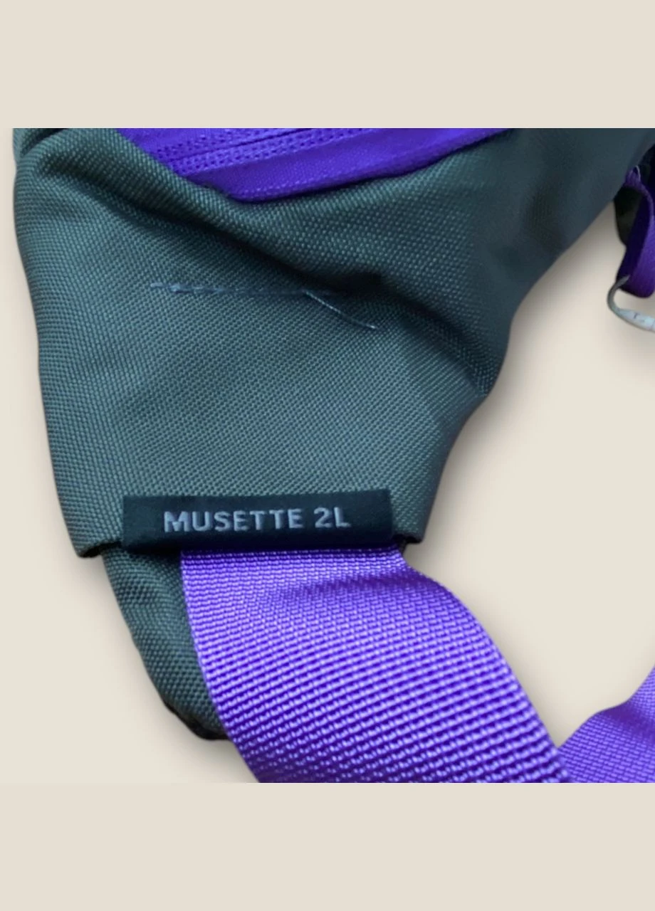Поясная сумка Daylite Waist синей/фиолетовый Osprey (374973758)