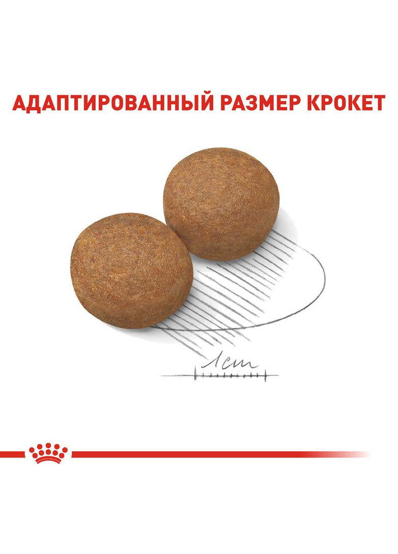 Сухий корм Maxi Adult для собак великих порід 4 кг (3182550402224) Royal Canin (316226774)