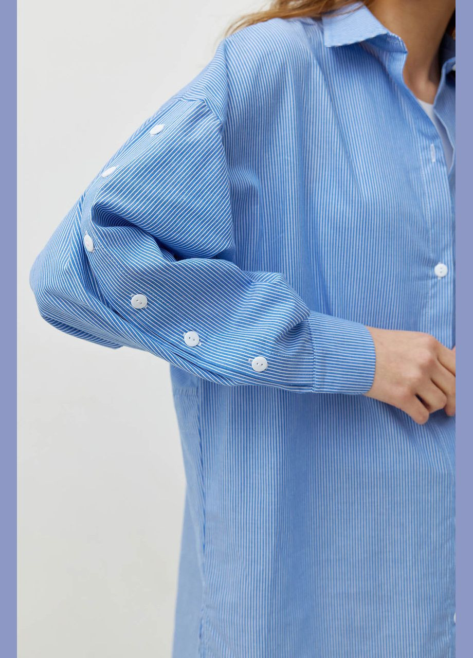 Синя демісезонна жіноча бавовняна сорочка біла в синю смужку mkrm4085-1 Modna KAZKA