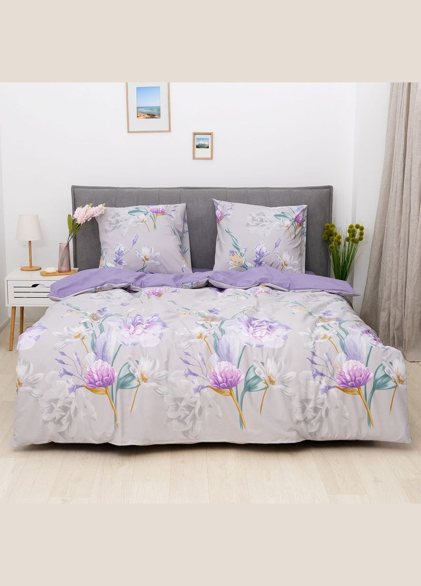 Комплект постельного белья семейный ранфорс Viluta 25362-sm (339041057)