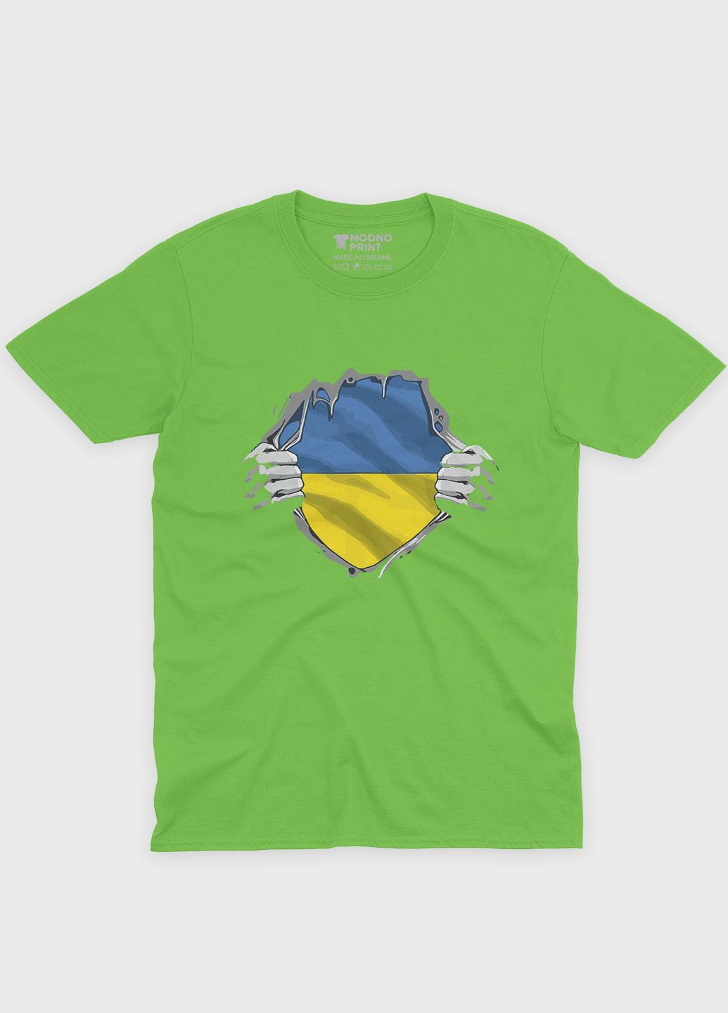 Салатовая демисезонная футболка для мальчика с патриотическим принтом (ts001-3-kiw-005-1-079-b) Modno