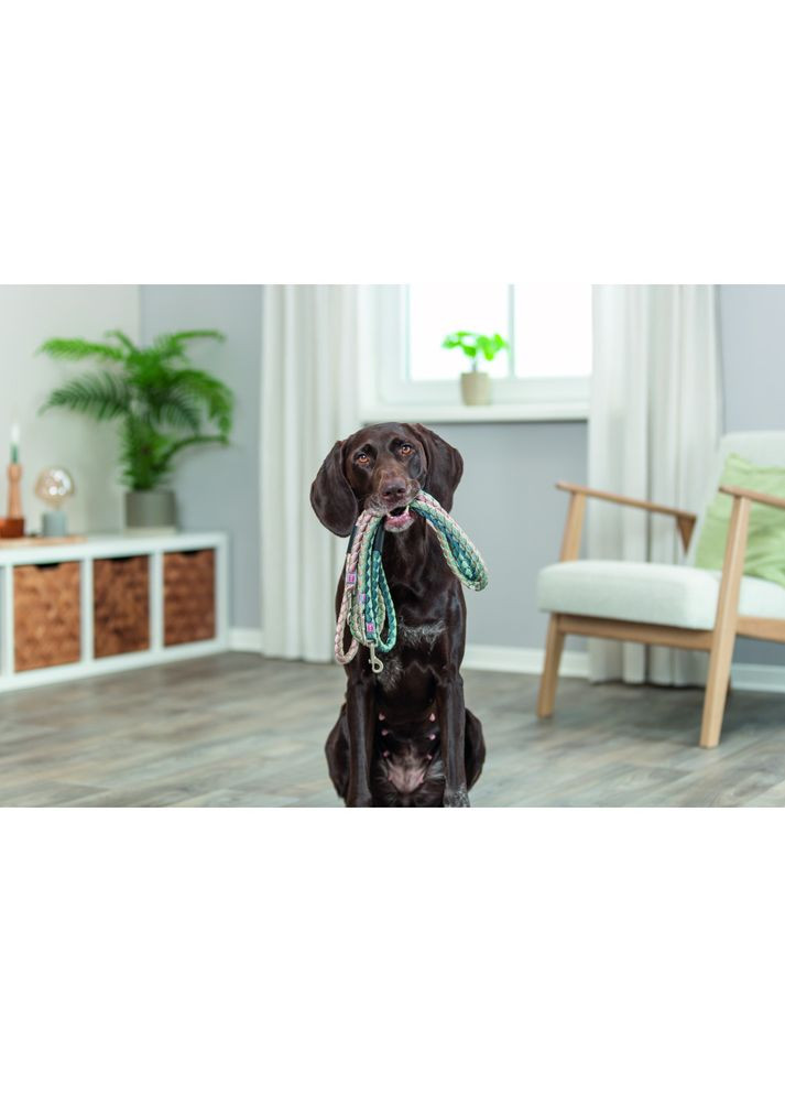 Поводок Cavo L–XL, 1 м х 18 мм, розовый/песочный Trixie (321969599)