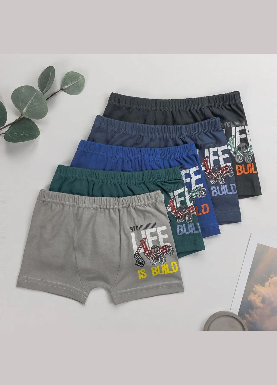 Подростковые трусы-боксеры для мальчика 5 шт Nicoletta (304030101)