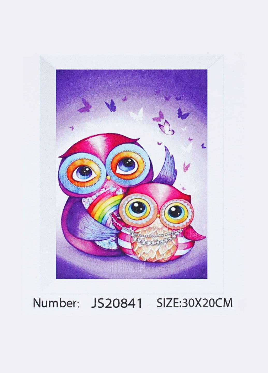 Алмазна мозаїка розмір Милі Сови (JS 20841) TK Group (301421015)