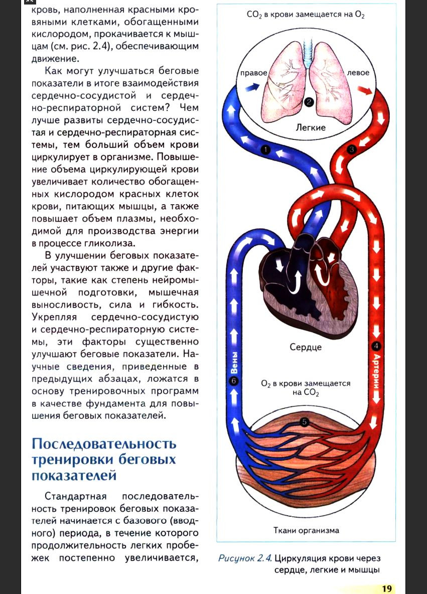 Анатомія бігу. Джо Пулео, Патрік Мілрой No Brand (366971101)