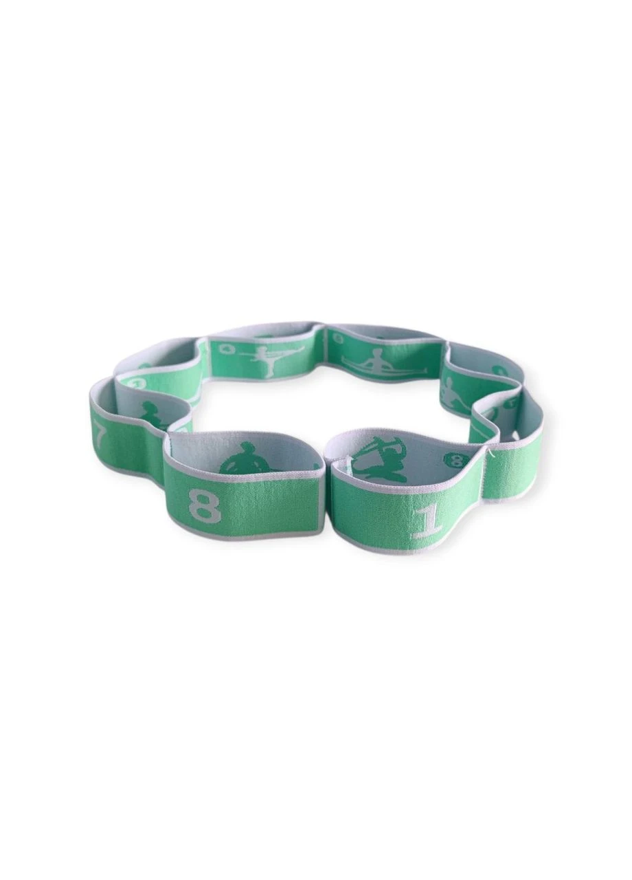 Эластичный ленточный эспандер сегментирован с 8 петлями WX-RT2-light green SNS (366973311)