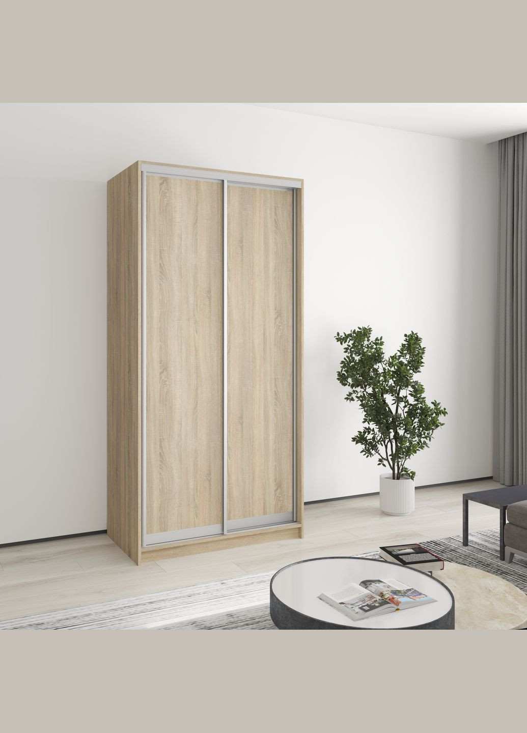 Шафа-купе дводверна Стандарт AL 2ДСП 100x60x210 см (MBS-2315) MebelStar (346289547)