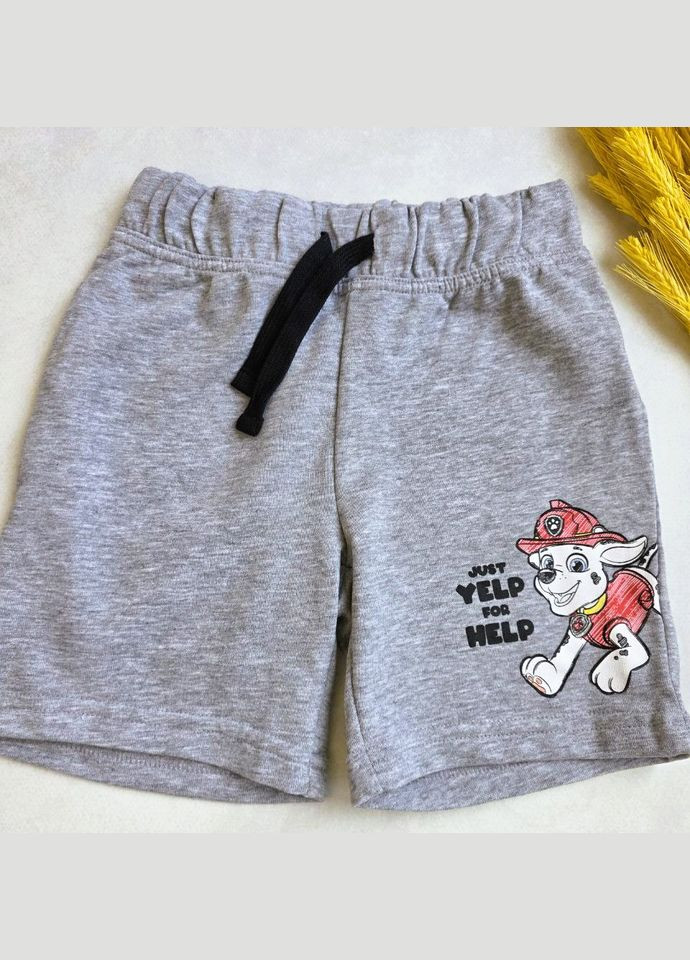 Набор шорт двунитка Paw Patrol для мальчиков Lupilu Шорти (337168374)