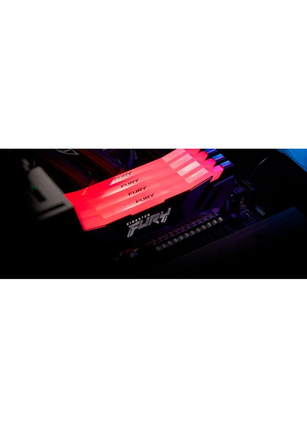 Пам'ять ПК DDR5 32GB KIT Renegade RGB KF564C32RSAK2-32 Kingston (362474553)
