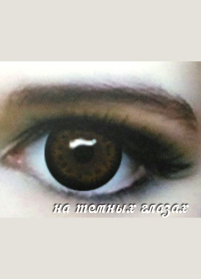 Кольорові лінзи «Лялькові карі» ELITE LENS (LN010) No Brand (326996425)