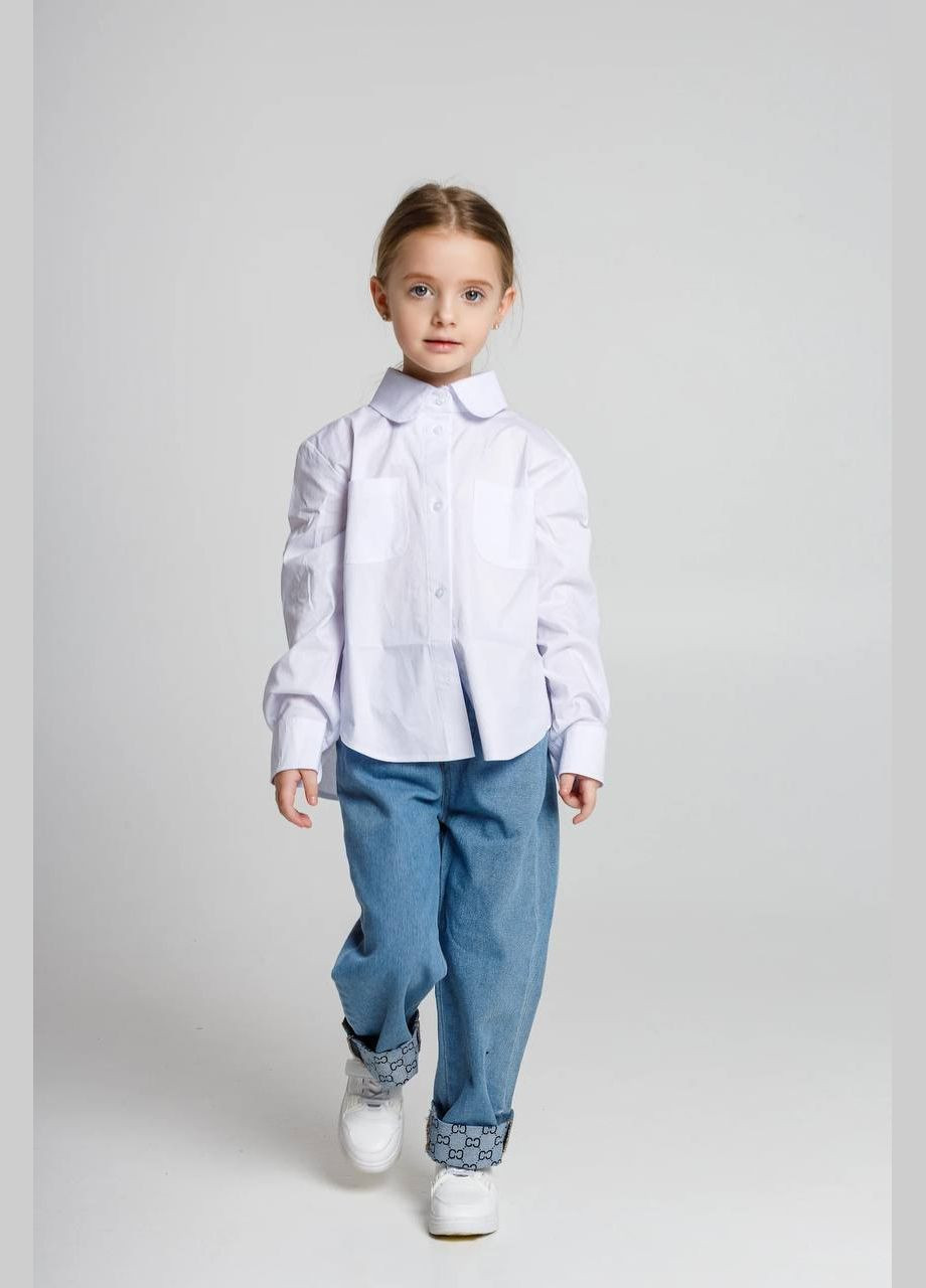 Белая праздничный, классическая, повседневный, кэжуал, вечерний рубашка EVAN