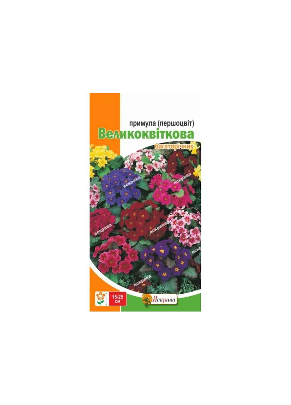Першоцвіт великоквітковий суміш (20 пачок) 0,1г Яскрава (367114494)