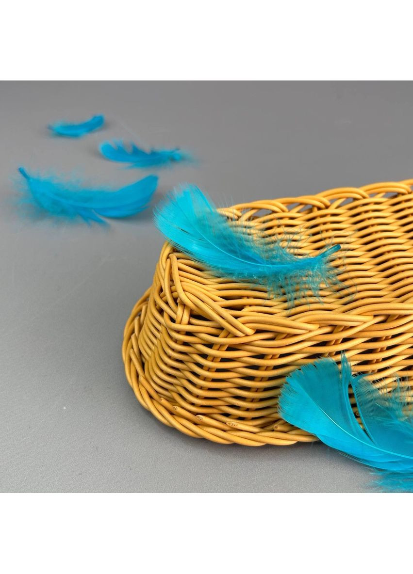 Перья гусиные для рукоделия 9-13 см, ∼95шт - лазурный Plus-plus (354798300)