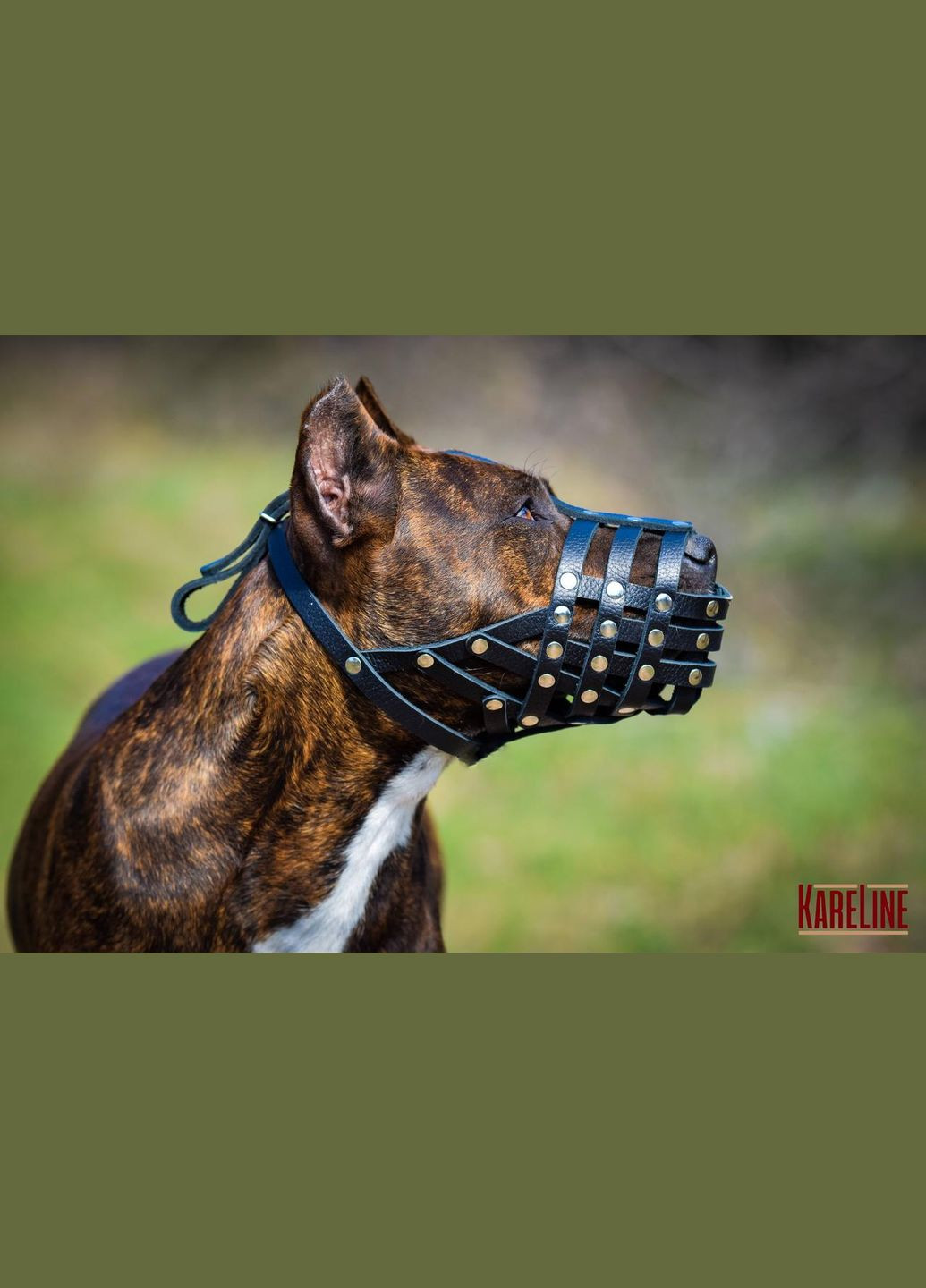 Намордник-сітка з натуральної шкіри для пітбуля та ам-стафа Kareline (339075279)