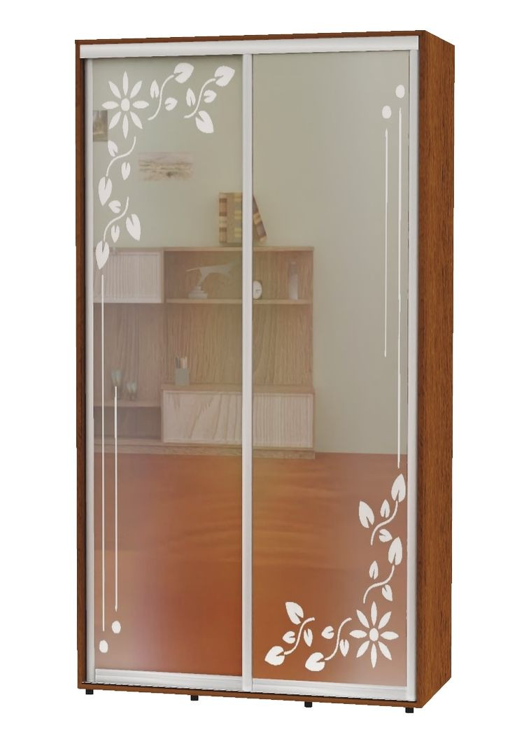 Шкаф-купе двухдверный 100*60*230 Орех лесной Зеркало с пескоструйным рисунком Алекса (360472630)