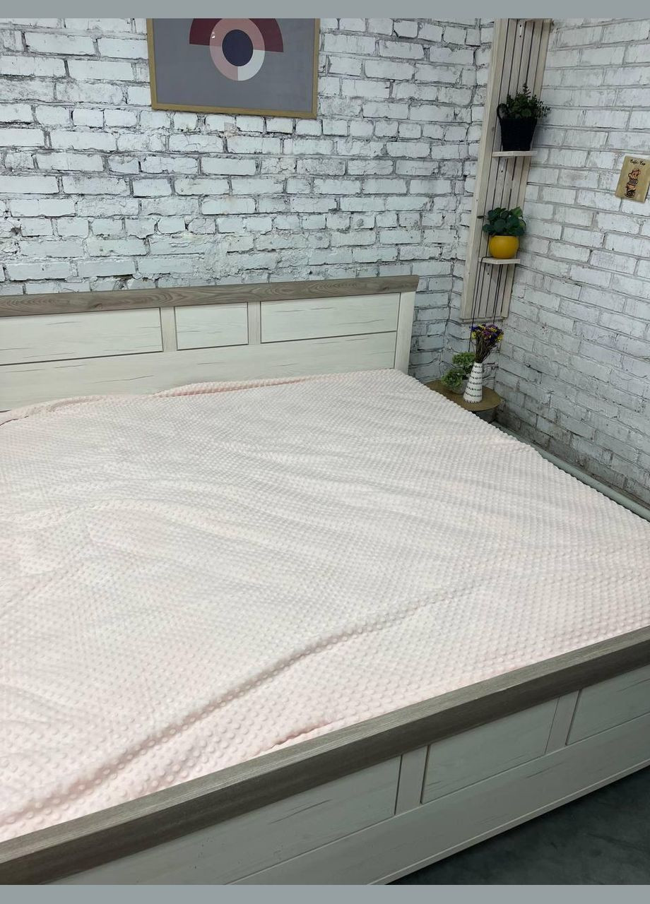 Плед плюшевый теплый 200х215 см (П4К-mur-flis-pled-007-03) No Brand (308754607)