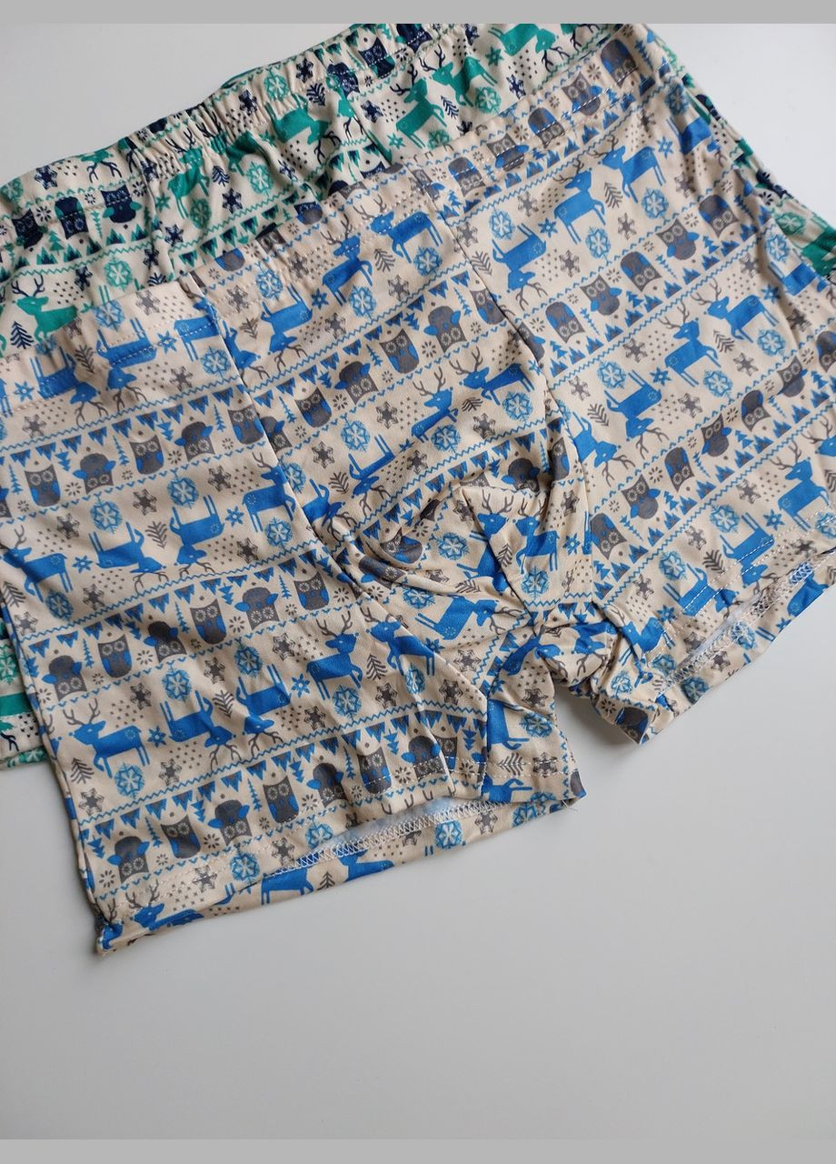 Набір комплект чоловічі труси боксери шорти Honey Fashion Accessories S (2-136) No Brand (313286182)