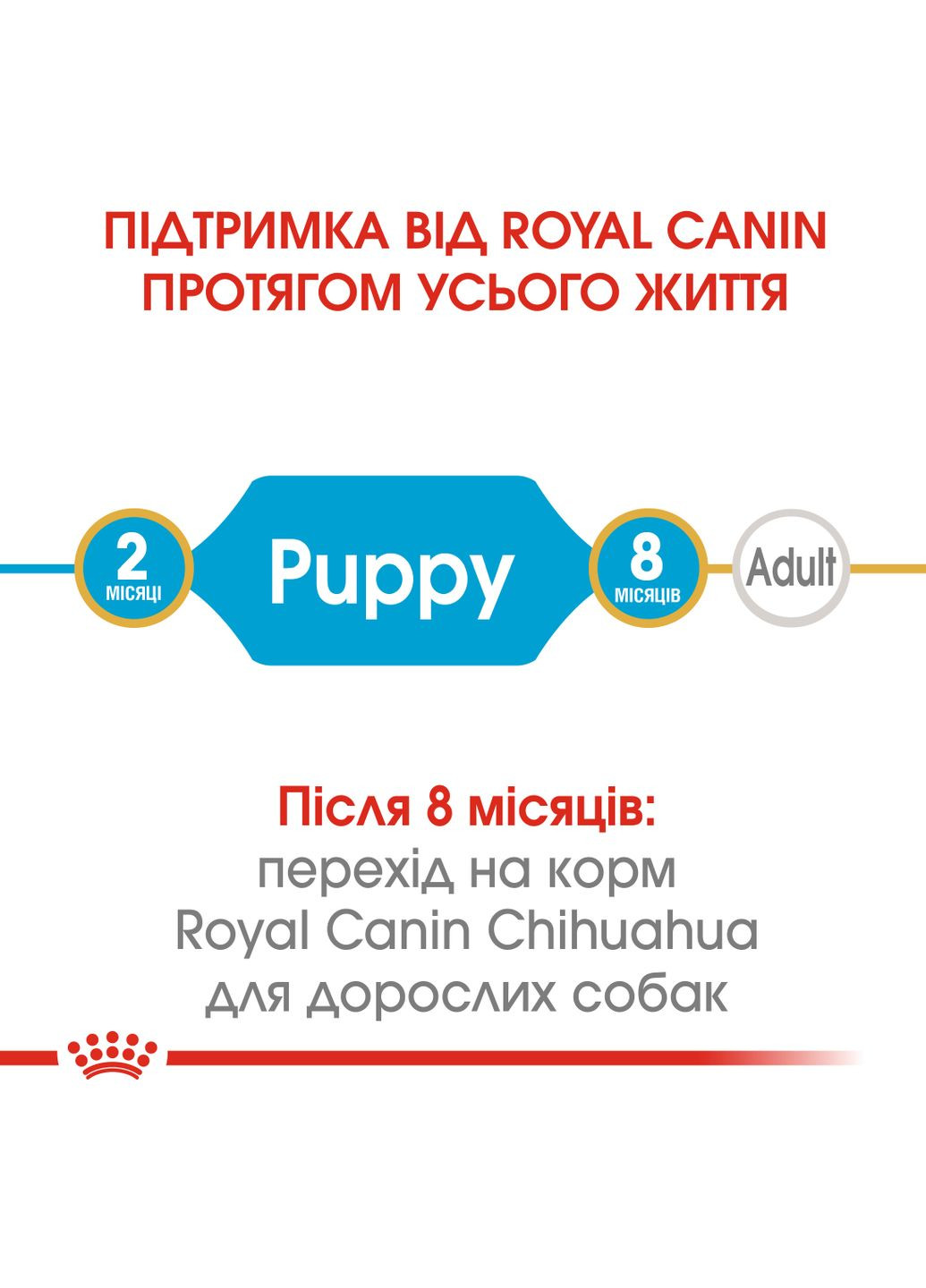 Сухий корм для цуценят чихуахуа Chihuahua Puppy від 2 до 8 місяців 0.5 кг (3182550722537) (24380051) Royal Canin (317171207)