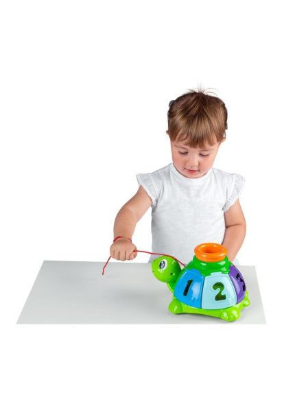 Развивающая игрушка (10622.00) Chicco сортер Черепаха (366696287)