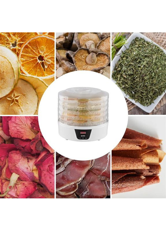 Сушарка FA-5126-8 First (370617506)