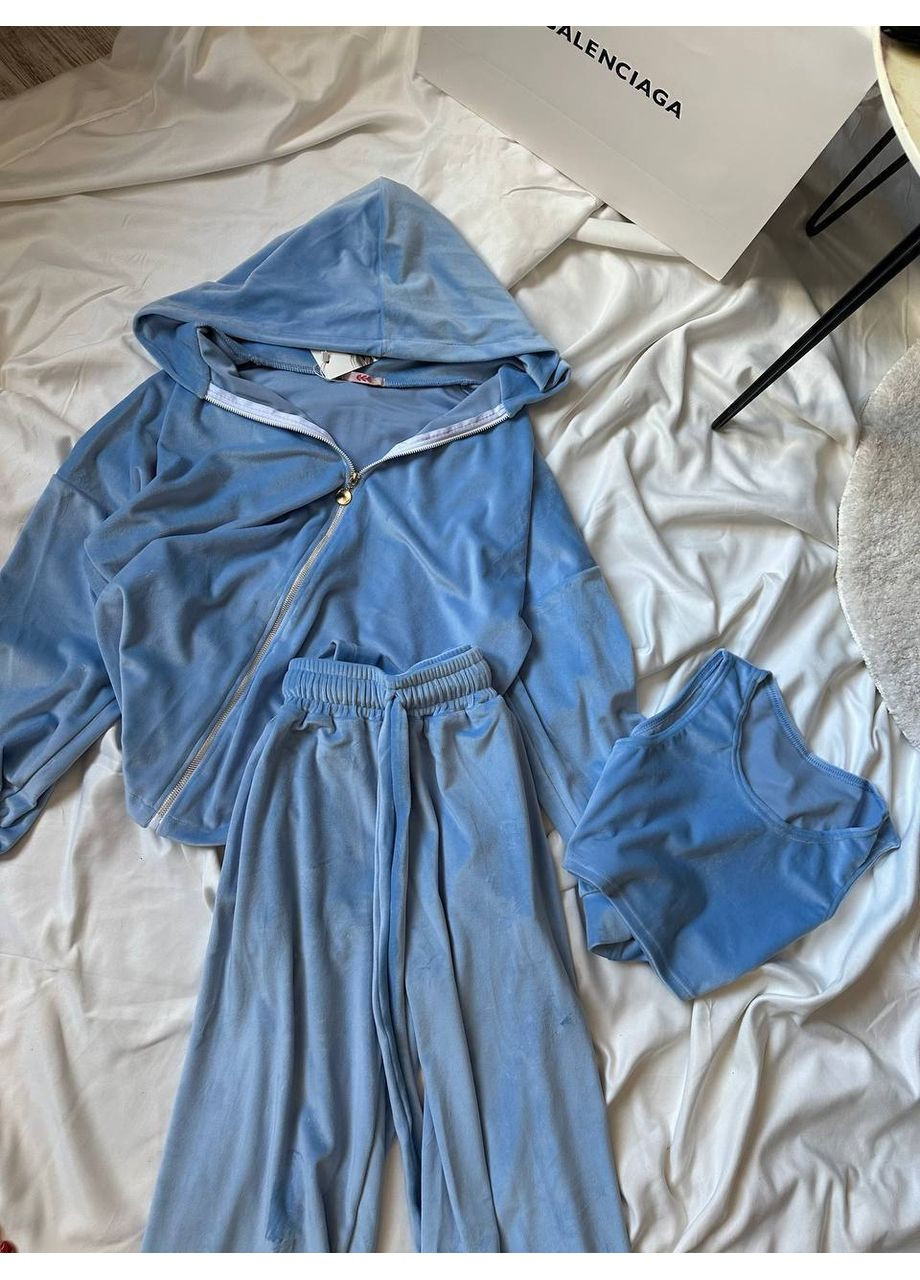 Жіночий велюровий костюм трійка Україна (360545117)