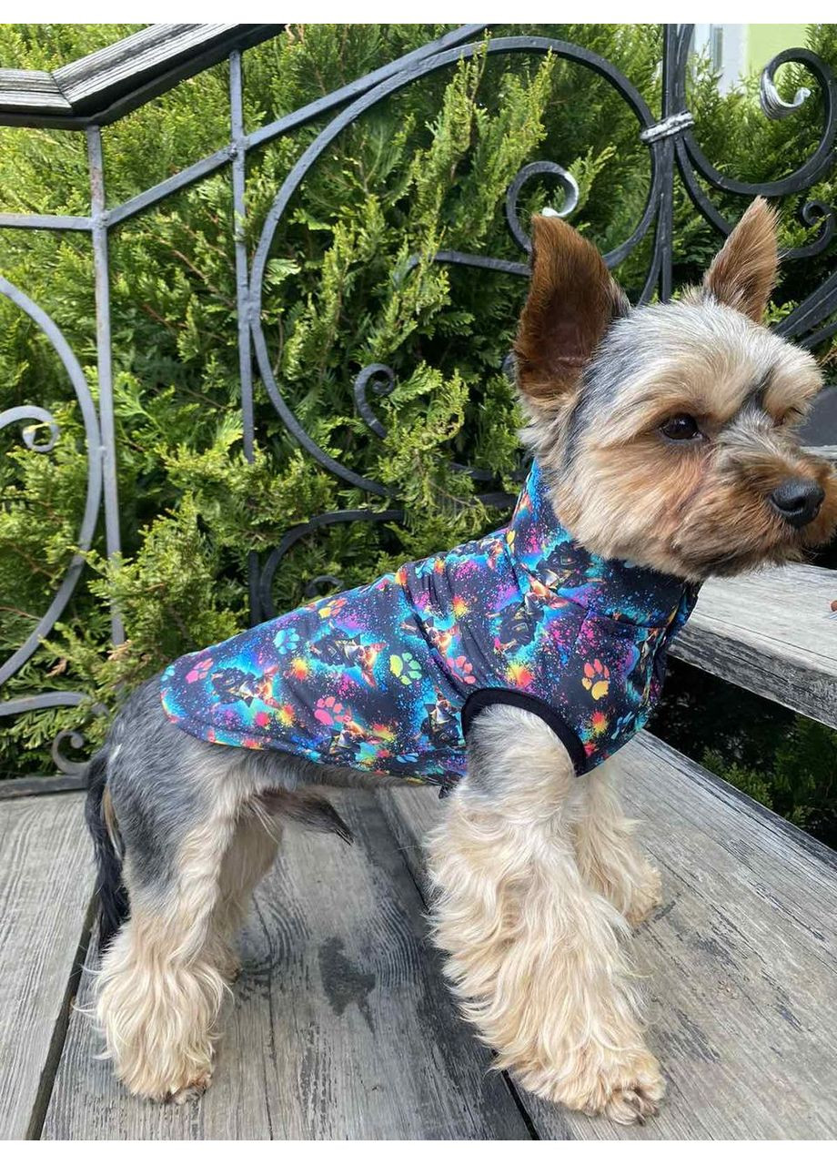 Вітровка-жилетка для собак XS No Brand (360884856)