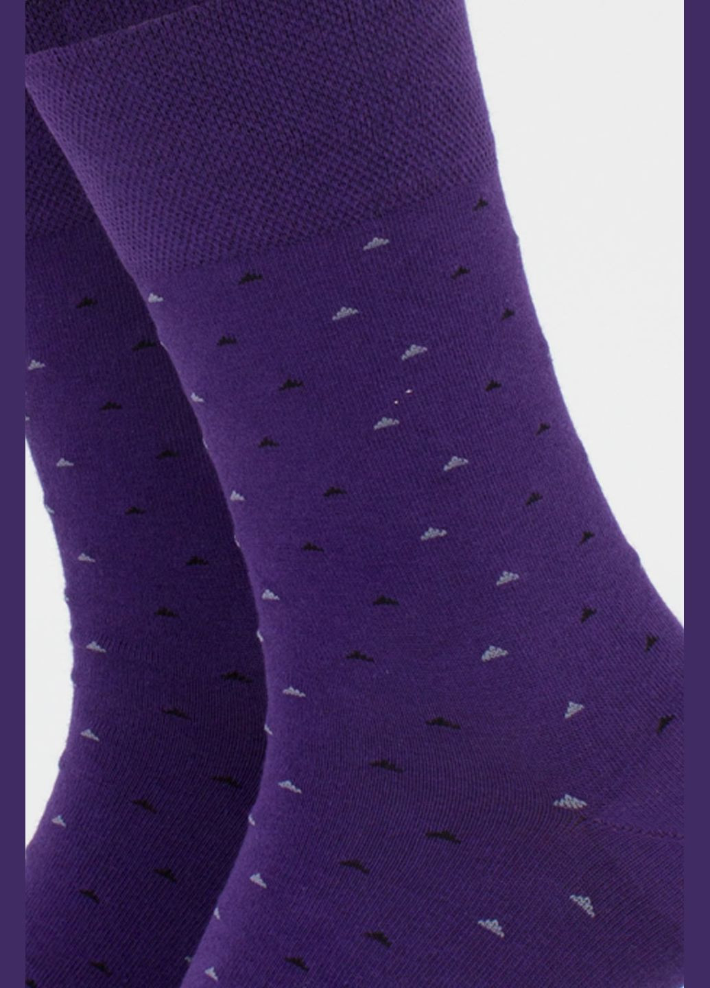 Фіолетові шкарпетки чоловічі Giulia горошок (302297295)