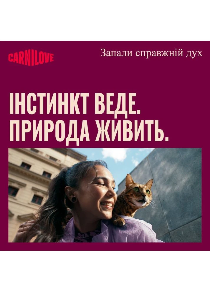 Ласощі Soft Snack Buffallo with Blueberries для котів м'які буйвол і лохина 50 г Carnilove (393552783)